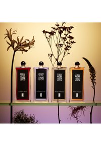 Quattro bottiglie di profumo in vetro esposte su uno scaffale. Le bottiglie hanno tappi neri e colori distintivi: rosso, nero, viola e arancione, ognuna con etichette di testo.