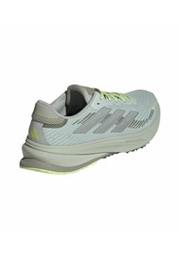 adidas Performance SUPERNOVA RISE GTX - Scarpe da corsa su strada - wonsil silvmt olistr