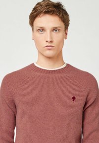 Junger Mann mit hellbraunen Haaren, der einen staubigen rosafarbenen gerippten Pullover mit einem kleinen dunkelroten Baumlogo auf der linken Brust trägt.
