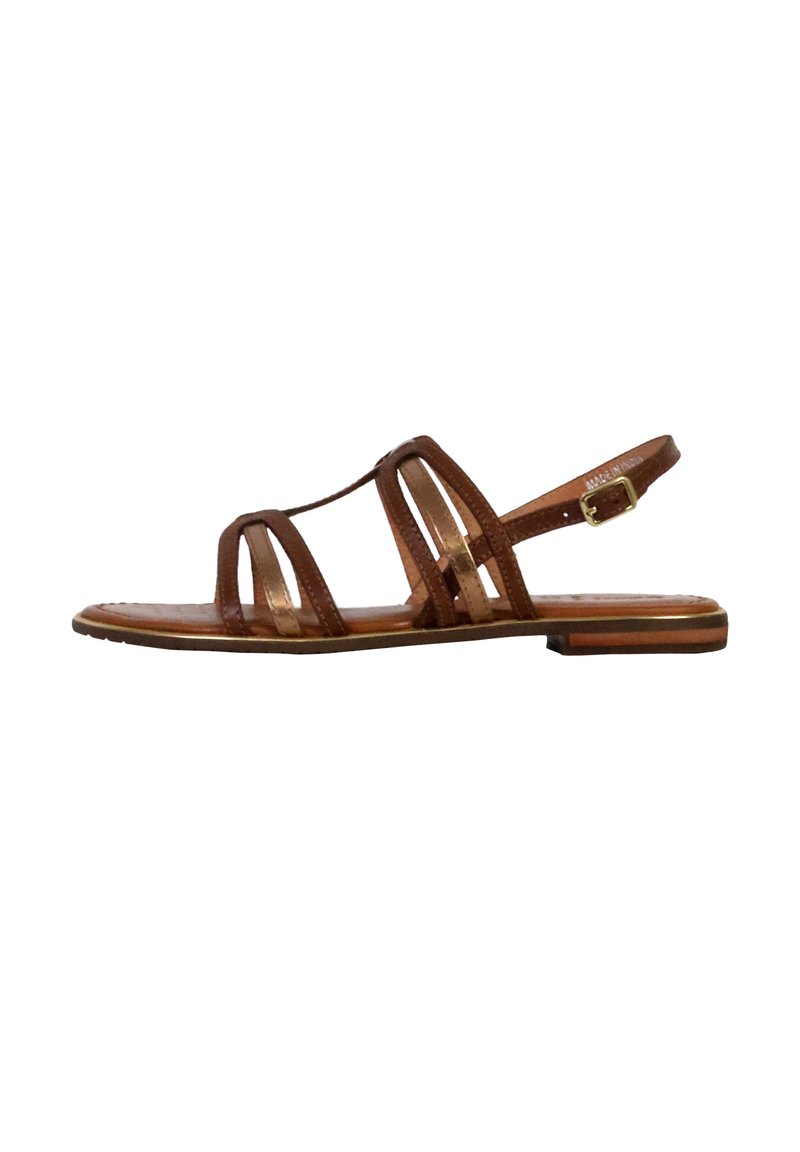 Sandale en cuir marron avec strap ajustable à la cheville, design ouvert à l'avant, plusieurs détails de lanières, semelle plate et accents dorés minimalistes.