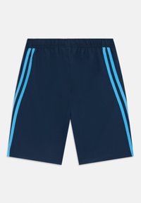 Pantaloni corti blu navy con un elastico in vita e due strisce laterali di colore azzurro. Realizzati in tessuto leggero, con una superficie liscia.