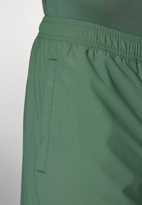 Roheline spordilühike, mis on valmistatud kergest kangast. Omab elastset vöökohta ja küljetaskut, millel on puhas ja sile tekstuur.