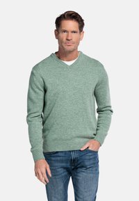 Groene v-halstrui van zacht gebreid materiaal, met ribboorden aan de mouwen en onderkant, gecombineerd met blauwe denim jeans. Eenvoudig, strak design.