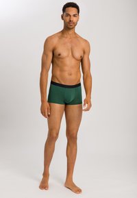 Hanro MICRO TOUCH - Boxerkalsong - leaf green