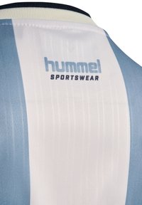 Ljusblå och vit sporttröja med vertikala ränder, med "hummel" och "SPORTSWEAR" tryckt i mörkblått på ryggen.