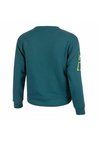 Endless LONGSLEEVE SWELL - Felpa - petrol