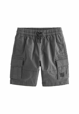 Next REGULAR FIT - Short - charcoal grey