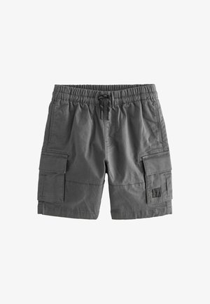 REGULAR FIT - Cargo hlače - charcoal grey