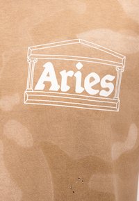 Μπεζ ύφασμα με λευκό περίγραμμα ενός ναού σε ελληνικό στυλ και τη λέξη «Aries» στο κέντρο μέσα στη δομή.