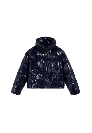 SHINNY COLAR PUFFER - Chaqueta de invierno - navy