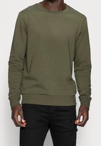 Khaki lange mouwen sweatshirt gemaakt van zachte stof, met een ronde hals, geribbelde manchetten en een rechte zoom. Minimalistisch ontwerp, zonder patronen.