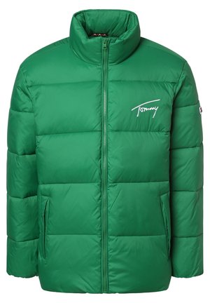 Tommy Jeans, STEPP - Winterjacke - gras