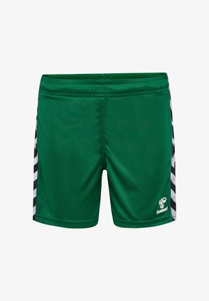 Grüne Sportshorts aus glattem Stoff, mit einem breiten elastischen Bund, schwarzen und weißen Akzentstreifen an den Seiten sowie einem Logo-Detail.