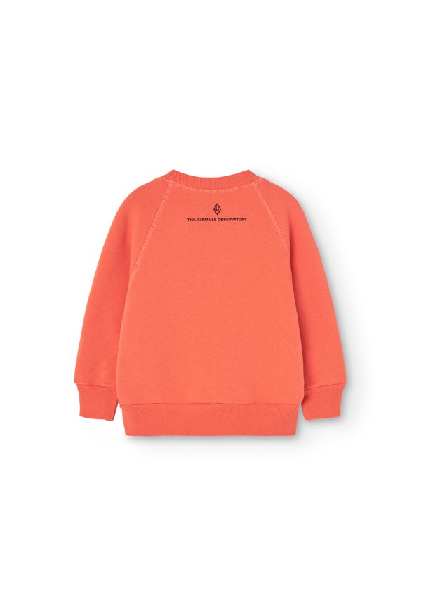 BABY JACKAL - Sweatshirt - salmon3