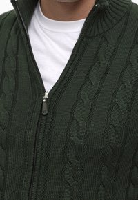 Groene kabelgebreide trui met rits en hoge kraag, met zilveren ritsdetail, gedragen over een wit shirt met ronde hals. Gestructureerde, warme stof.