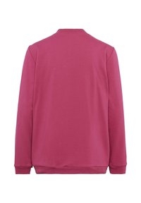 Felpa girocollo rosa con maniche lunghe, polsini e orlo a costine, realizzata in morbido tessuto di cotone, con un design posteriore pulito e liscio.