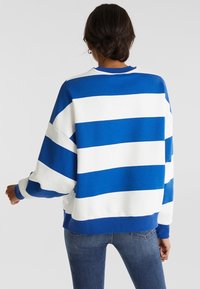 Blue and white striped sweatshirt with drop shoulders, a crew neck, ribbed cuffs, and a relaxed fit. Soft fabric with prominent stripes.