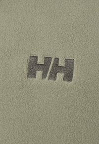 Helly Hansen DAYBREAKER - Casaco polar - green