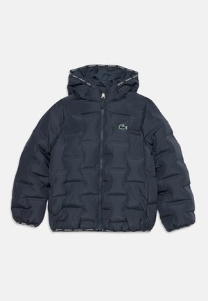 Dunkelblaue gesteppte Jacke mit Kapuze, durchgehendem Frontreißverschluss, Lacoste-Schriftzug und grünem Krokodil-Logo auf der Brust.