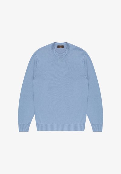 Light blue knitted sweater with a crew neck, long sleeves, ribbed cuffs, and hem. Smooth texture, minimal detailing, and classic design.