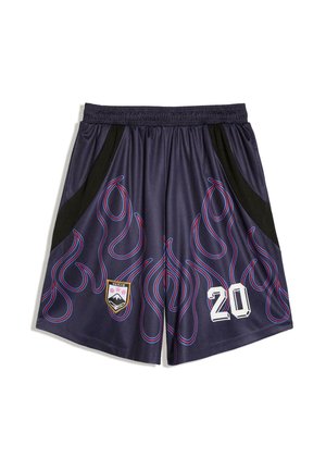 Shorts de sport bleu foncé avec motifs de flammes rouges et bleues, panneaux latéraux noirs, un emblème de montagne et le numéro blanc 20 sur la jambe droite.