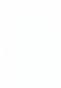 Witte keramische theepot met een glad oppervlak, een afgerond lichaam en een gebogen schenktuit. Heeft een eenvoudige handgreep en een bijpassend deksel. Geen patronen.