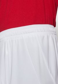 adidas Performance AJAX AMSTERDAM HOME SHORT - Fanartikel - white