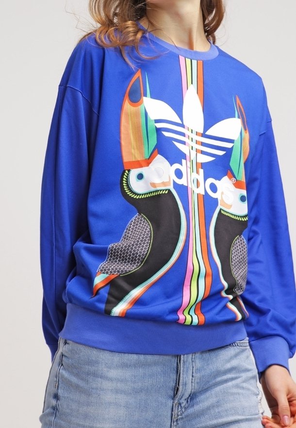 Sudadera azul con un diseño gráfico colorido que presenta tucanes y rayas de arcoíris. Fabricada con una tela suave, tiene un corte relajado y cuello redondo.