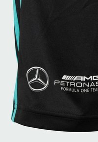 Musta kangas turkooseilla yksityiskohdilla, jossa on Mercedes-Benzin logo ja "AMG PETRONAS FORMULA ONE TEAM" -teksti valkoisena. Sujuva rakenne.
