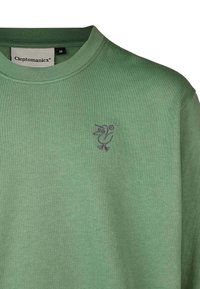 Green long-sleeve T-shirt made of soft cotton, featuring a round neckline and a small purple embroidered bird logo on the chest.