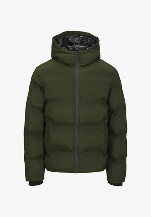 Žalia pūkinė striukė su gobtuvu, priekyje su užtrauktuku, elastinėmis rankogaliais ir siuvinėtu raštu. Lygus išorinis audinys ir šiltas vidus.