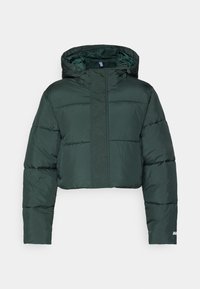 ESSENTIAL CROPPED HOODED PUFFER - Winter jacket - everpine
