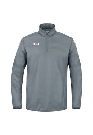 FUSSBALL - TEAM  RAINZIP  - Longsleeve - grau