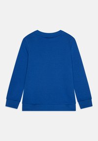 Sweatshirt bleu à manches longues, avec des poignets côtelés et un col rond. Fait en tissu doux pour le confort, il présente un design uni sans motifs.