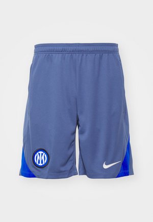 Pantaloni corti sportivi grigi con un pannello laterale blu, caratterizzati da un logo nero e blu sulla gamba sinistra e uno swoosh bianco della Nike sul lato destro.