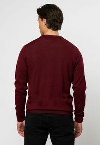 U.S. Polo Assn. Džemperis - tibetan red mélange