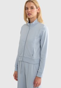 Gaiši zils sportisks džemperis ar rāvējslēdzēju, izgatavots no mīksta auduma, ar augstu apkakli, ribotām aprocēm, priekšējiem kabatām un elastīgu jostu ar šuvju detaļām.