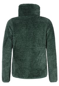 Donkergroene fleecejack met lange mouwen en hoge kraag, met een zachte, pluche textuur, van achteren getoond op een witte achtergrond.