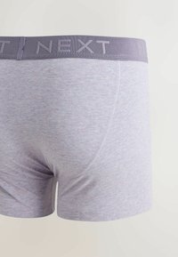 Boxer homme gris clair avec une large ceinture élastique embossée du mot « NEXT » en gris assorti.