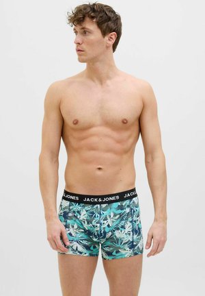 Boxers pour hommes avec un motif de feuilles tropicales. Les couleurs incluent le vert, le bleu et le blanc, avec une ceinture élastique noire arborant le logo. Tissu doux et extensible.