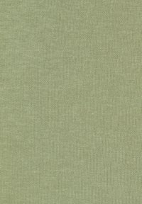 Tejido de punto de color verde claro, con un patrón texturizado fino. Superficie suave sin costuras visibles ni detalles prominentes. Apariencia blanda.