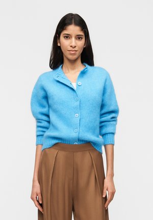 Frau trägt eine blaue, geknöpfte Strickjacke und braune, hoch taillierte, plissierte Hosen, stehend vor einem einfarbigen hellgrauen Hintergrund.