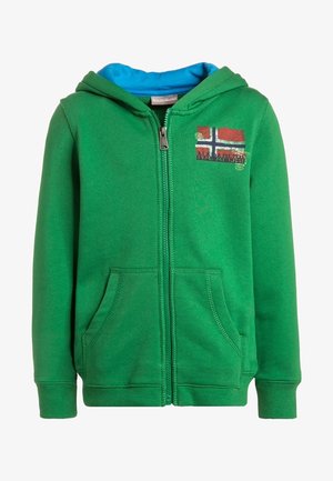 Grøn hættetrøje med lynlås, forlommer, blå foer i hætten og et lille slidt norsk flagpatch på brystet.