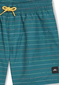 Shorts da bagno turchesi realizzati in materiale leggero, con strisce orizzontali in rosa, verde e bianco e il testo "PRIMO DENTRO" e "ULTIMO FUORI."