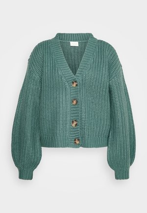 Vest - blue