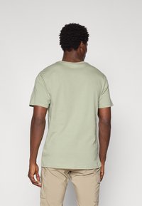 Light green cotton T-shirt with short sleeves and a crew neck, displayed from the back. Smooth texture, simple design, no visible patterns.