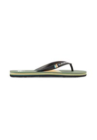 Quiksilver MOLOKAI - Allassandaalit - gvj