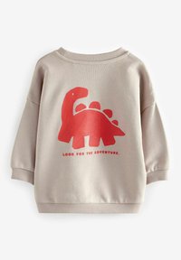 Next PLACEMENT PRINT CREW NECK- REGULAR FIT - Sweatshirt - stone red
