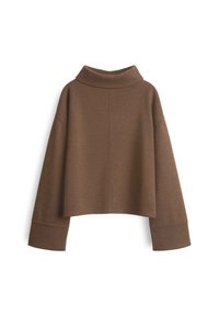 Maglione corto marrone con colletto alto, maniche ampie e una texture morbida. Presenta dettagli delle cuciture sul retro e una vestibilità rilassata.