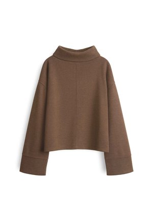 Maglione corto marrone con colletto alto, maniche ampie e una texture morbida. Presenta dettagli delle cuciture sul retro e una vestibilità rilassata.